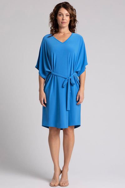 Slouchy V-Neck Dress with Tie