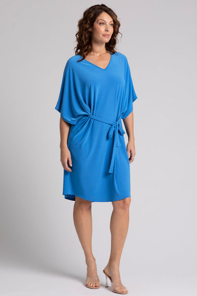 Slouchy V-Neck Dress with Tie