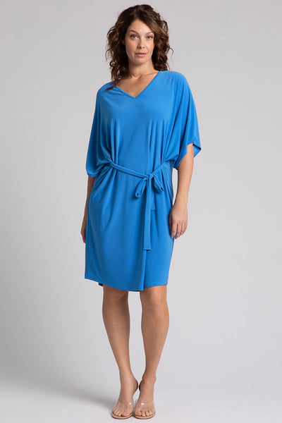 Slouchy V-Neck Dress with Tie